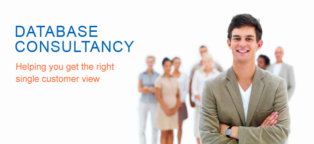 Database consulting